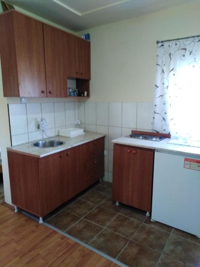 Apartman Sasa Banja Koviljaca Exterior photo